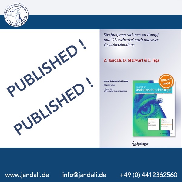 Spirngerjpunal published